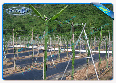 Αντι UV ύφασμα/χαλί ελέγχου ζιζανίων κήπων πολυπροπυλενίου Enviro για την υφαμένη κάλυψη LandscapeAgriculture μη