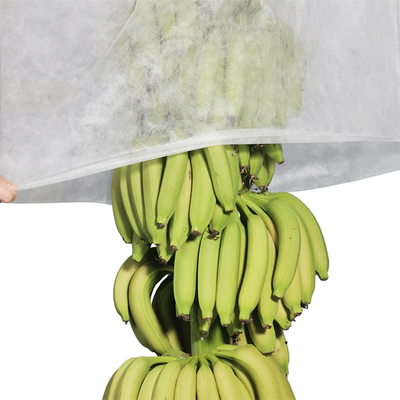 Αναπνεύσιμη κάλυψη δεσμών μπανανών δεσμών μη υφαμένη στο άσπρο χρώμα