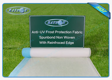 χαλί ζιζάνιο-ελέγχου 25.6m ευρύ διαφανές αντι-UV για το γεωργικό, άσπρο ύφασμα τοπίων