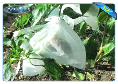 Το μη υφανθε'ν φυτό Agiculture αυξάνεται τις τσάντες για την αύξηση φρούτων και η προστασία, πατάτα αυξάνεται τις τσάντες