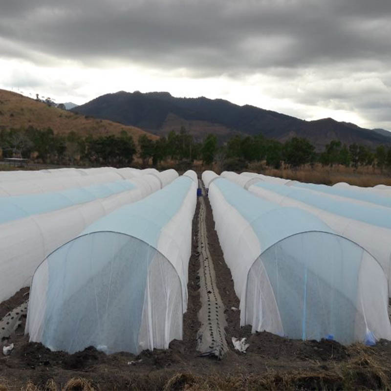 Αναπνεύσιμη γεωργία Tnt Κάλυμμα σειράς θερμοκηπίου για την προστασία των φυτών εξωτερικού χώρου λαχανικών