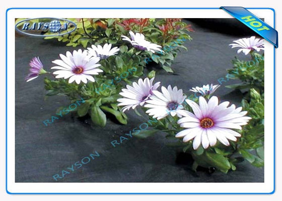 3% UV προστασία γεωργική μη υφαμένη κάλυψη Spunbond εγγύησης 10 ετών στο μαύρο χρώμα