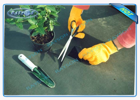 3% UV προστασία γεωργική μη υφαμένη κάλυψη Spunbond εγγύησης 10 ετών στο μαύρο χρώμα