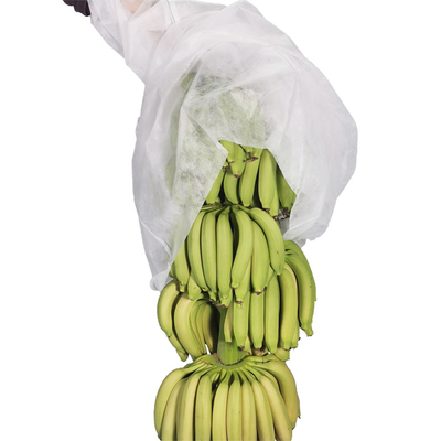 17gram γεωργίας μη υφαμένες τσάντες μπανανών κάλυψης UV μη υφανθείσες που κόβουν 100pcs ανά πλαστική τσάντα
