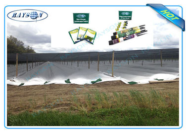 Διασπάσιμο χαλί ελέγχου ζιζανίων που γίνεται από τη μαύρη ή άσπρη αντι-UV υφαμένη κάλυψη γεωργίας μη
