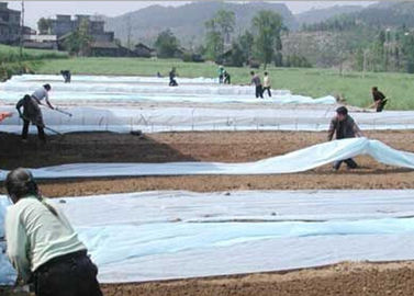 Διαφανές ύφασμα τοπίων Spunbond μη υφαμένο για την κάλυψη εγκαταστάσεων γεωργίας